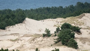 Niszczenie wydm w sezonie letni jest dość powszechne