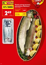 Pstrąg tęczowy Marinero