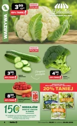 Koszyk pełen dobrych wyborów - Netto