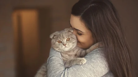 Kot zaczyna cię ignorować? Czasem oznacza to, że przytulania i głaskania było za dużo.