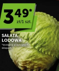 Sałata lodowa