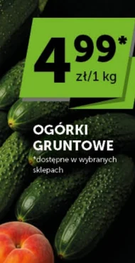 Ogórki