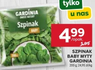 Szpinak Gardinia