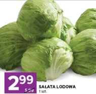 Sałata lodowa