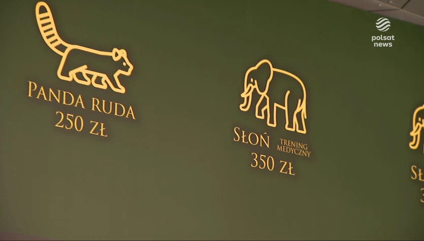 "Wydarzenia": W weekendy niepełnosprawni zapłacą za bilety do łódzkiego zoo