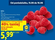 Малина Plus-Plus