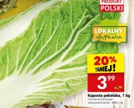 Kapusta