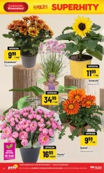 Rabaty na Dzień Taty - POLOmarket