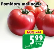 Pomidory