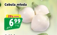 Cebula młoda