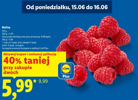 Малина Plus-Plus