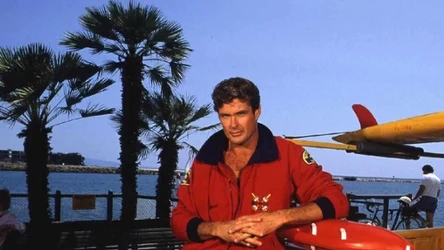 David Hasselhoff