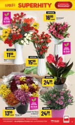 Łap okazje, póki trwają - POLOmarket