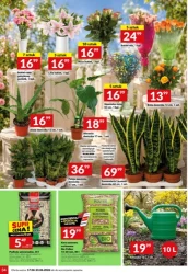 Promocje na Dzień Taty - Twój Market