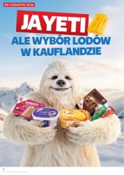 Smak lata w niskich cenach - Kaufland