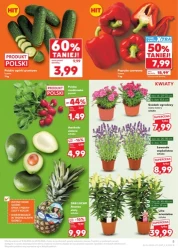 Smak lata w niskich cenach - Kaufland