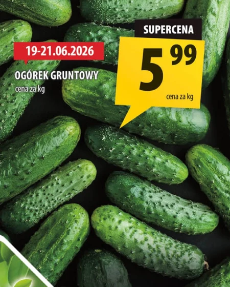 Огірок