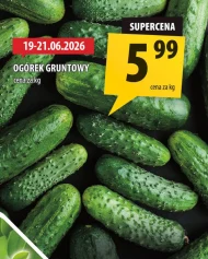 Огірок