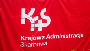 Drugie dno burzy o krewetki na pizzy. "Muszą szukać mandatów na siłę"