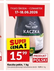 Пригнися Świat Kaczki