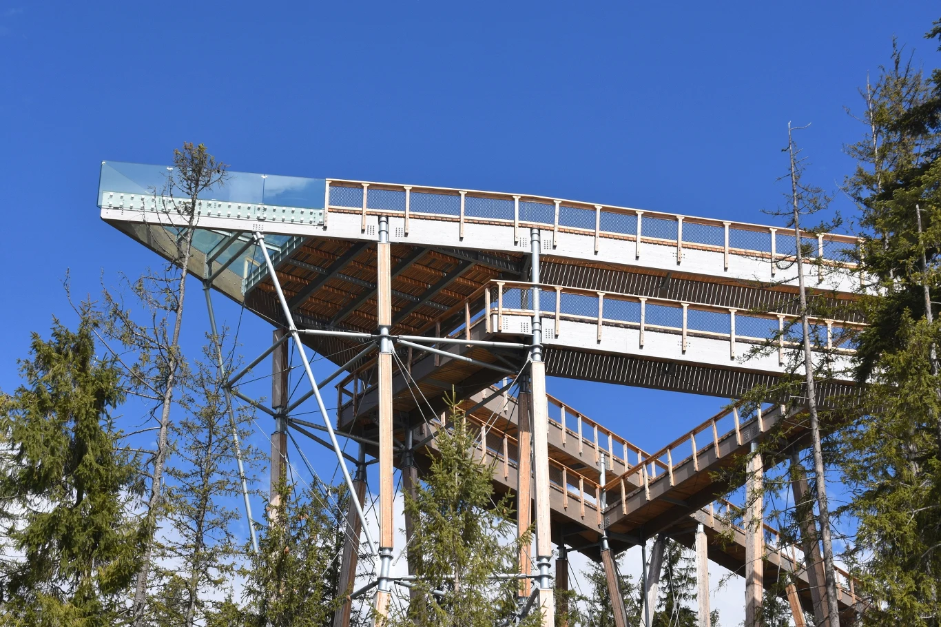Niezwykła atrakcja niedaleko Zakopanego. Co wiadomo o Sky Walk Serce Poronina? Drewniana wieża widokowa z przeszklonym tarasem, wsparta na metalowych podporach, otoczona drzewami.
