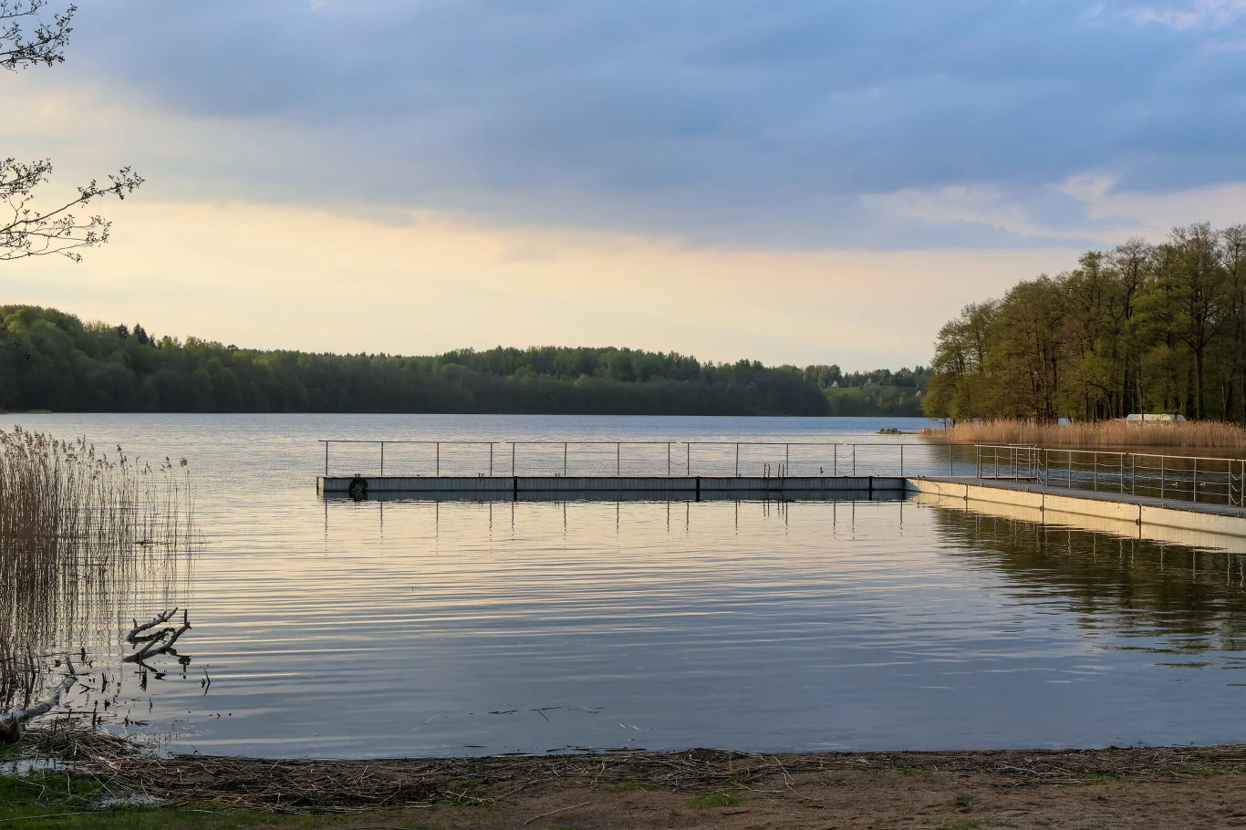 Jezioro otoczone pasmem drzew, z długim pomostem prowadzącym w głąb wody i trzcinami rosnącymi przy brzegu.