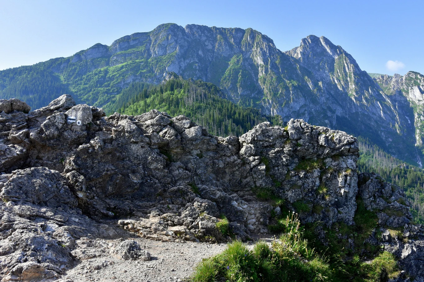 Szlak w Tatrach dla początkujących. Prosty, z widokiem na panoramę gór Widok z Sarniej Skały w Tatrach. Panorama Giewontu, Zakopanego podczas letniej wędrówki szlakiem dla początkujących.