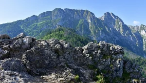 Szlak w Tatrach dla początkujących. Prosty, z widokiem na panoramę gór