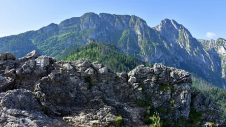 Szlak w Tatrach dla początkujących. Prosty, z widokiem na panoramę gór