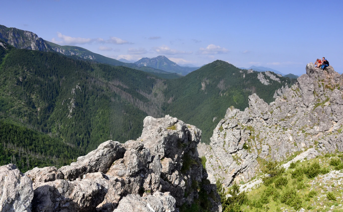 Trasa na Sarnią Skałę to jeden z najłatwiejszych szczytów z widokiem na Giewont Szczyty wapiennych skał o nieregularnych formach, z których rozciąga się rozległy widok na porośnięte lasem górskie grzbiety; na jednym z wyższych głazów siedzi grupa osób podziwiająca panoramę.