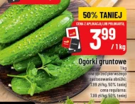 Ogórki