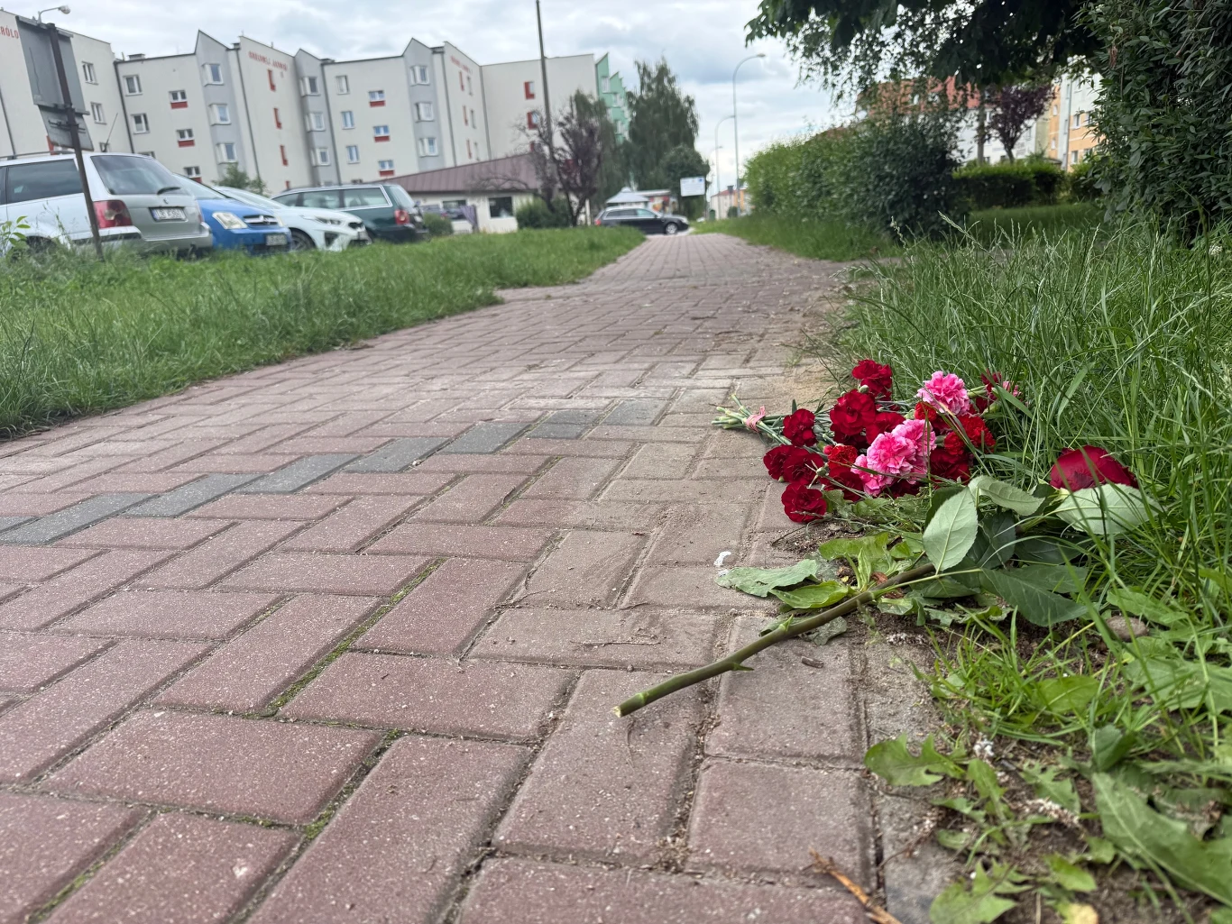 Zwiędły bukiet czerwonych i różowych kwiatów leżący na chodniku, obok trawa i bloki mieszkalne w tle.