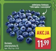 Borówka amerykańska