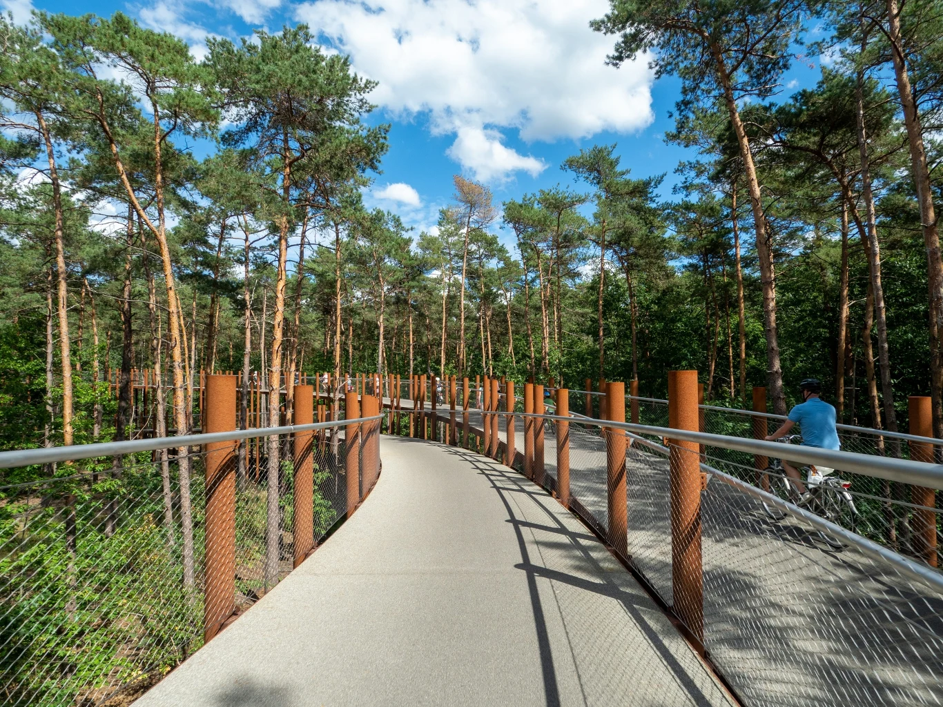Ta ścieżka rowerowa powstała w koronach drzew. Piękniejszej nie znajdziesz Wyjątkowa ścieżka Fietsen door de Bomen, poprowadzona 10 metrów nad ziemią wśród koron drzew Parku Narodowego Bosland.