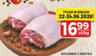 Golonka indycza