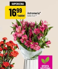 Bukiet kwiatów