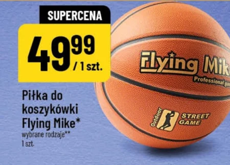 Баскетбол Flying Mike