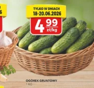Ogórek
