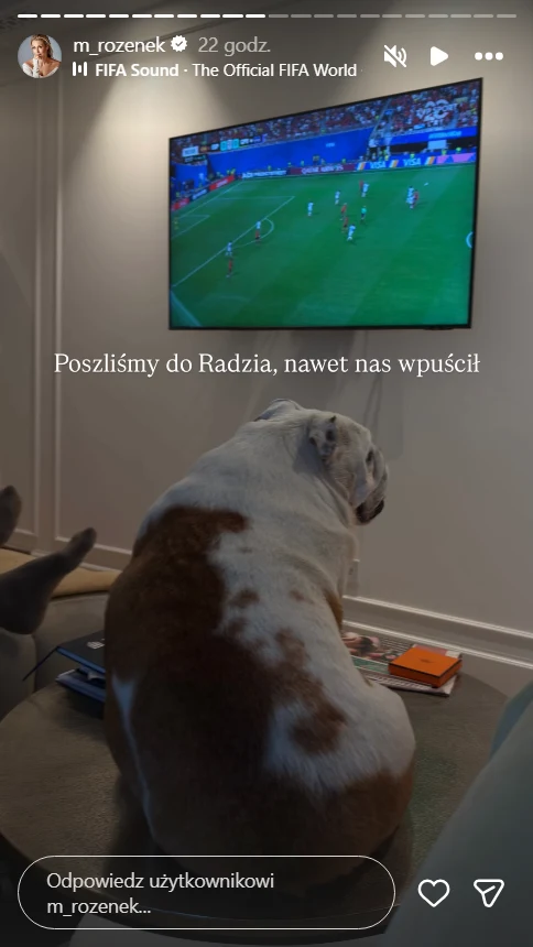 Małgorzata Rozenek-Majdan obejrzała mecz mundialu z mężem Buldog angielski siedzący na kanapie, skierowany w stronę telewizora wyświetlającego mecz piłkarski.