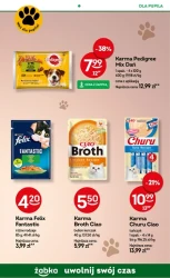 Małe zakupy, wielkie okazje – Żabka