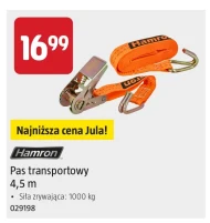 Pas transportowy Hamron