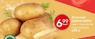 Картопля