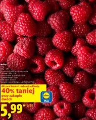 Малина Plus-Plus