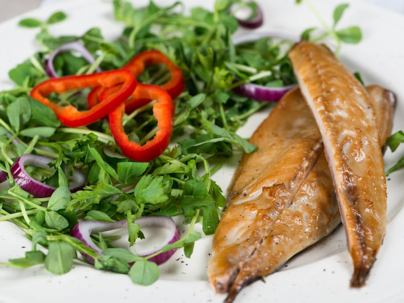 Makrela wędzona jest dobrym źródłem białka i kwasów tłuszczowych omega-3. Dwa kawałki wędzonej makreli obok sałatki z rukoli, czerwonej papryki i czerwonej cebuli.