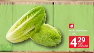 Sałata rzymska