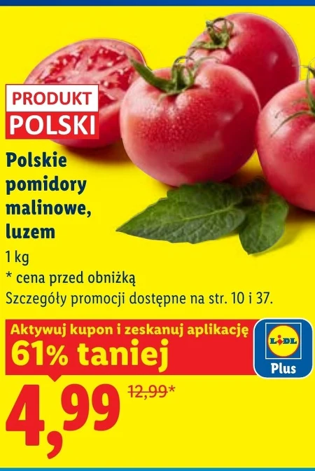 Помідори