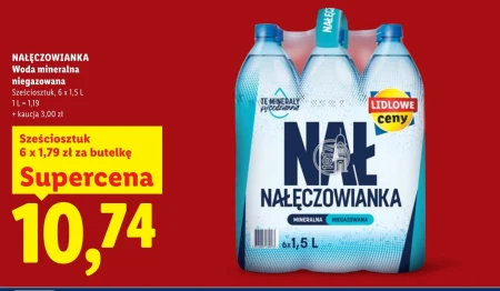 Мінеральна вода Nałęczowianka