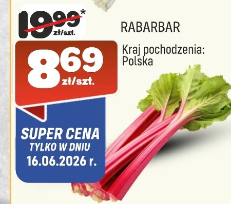 Ревінь