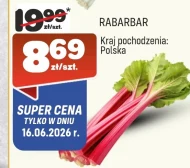 Rabarbar