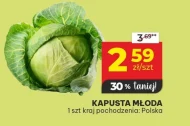 Kapusta młoda